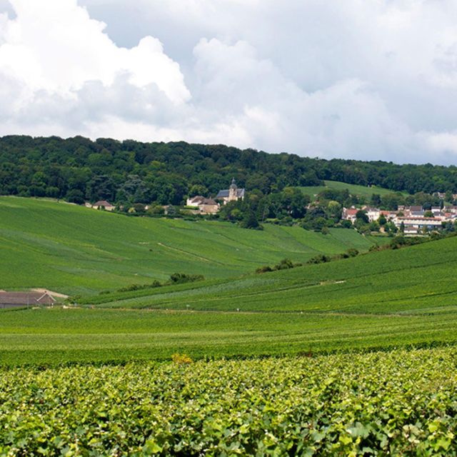 Marne: Champagne Region Private Day Tour With Lunch - Tour Duration and Features