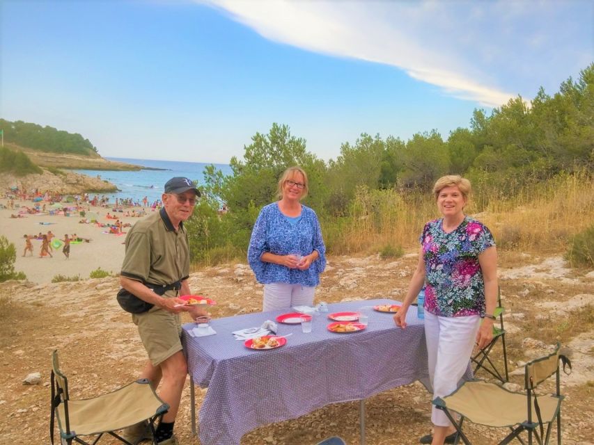Marseille: 8-Hour Provençal Picnic Tour - Special Requests and Accommodations