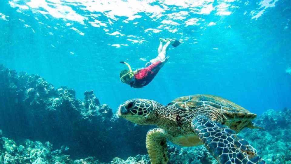 Maui: Cruise With Snorkeling and Barbecue Lunch - Booking Information