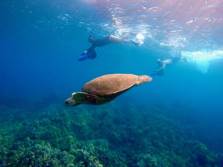 Maui: Guided Sea Scooter Snorkeling Tour - Tour Itinerary