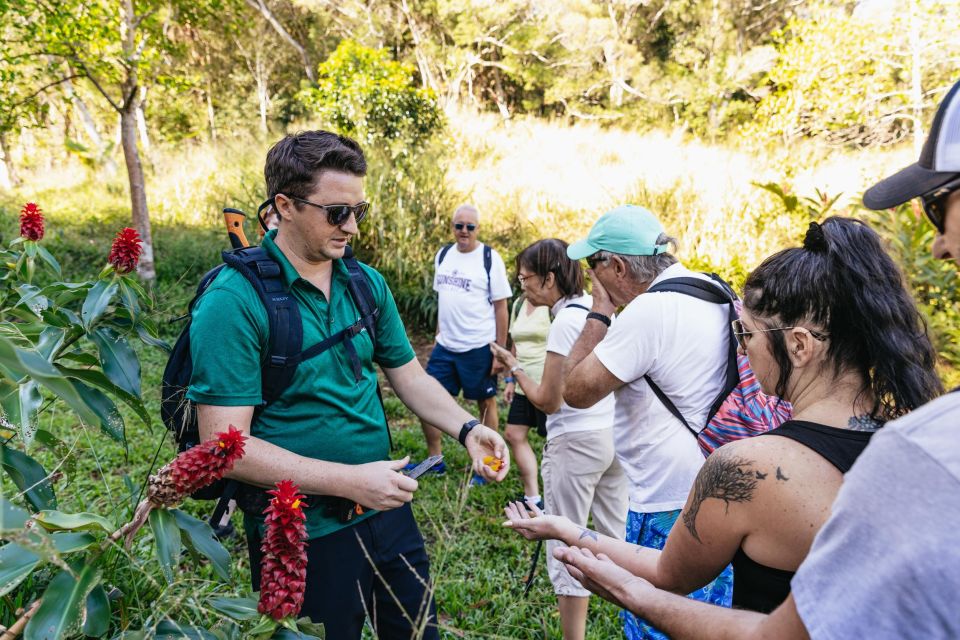 Maui: Hike to the Rainforest Waterfalls With a Picnic Lunch - Experience Highlights