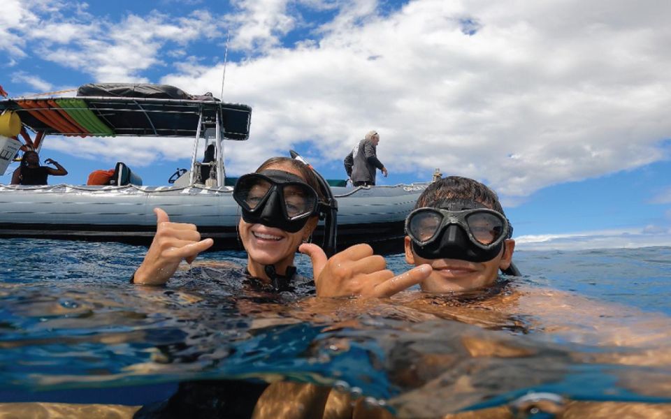 Maui: Semi-Private 2.5 Hour Eco-Raft Turtle Snorkel Tour - Tour Description