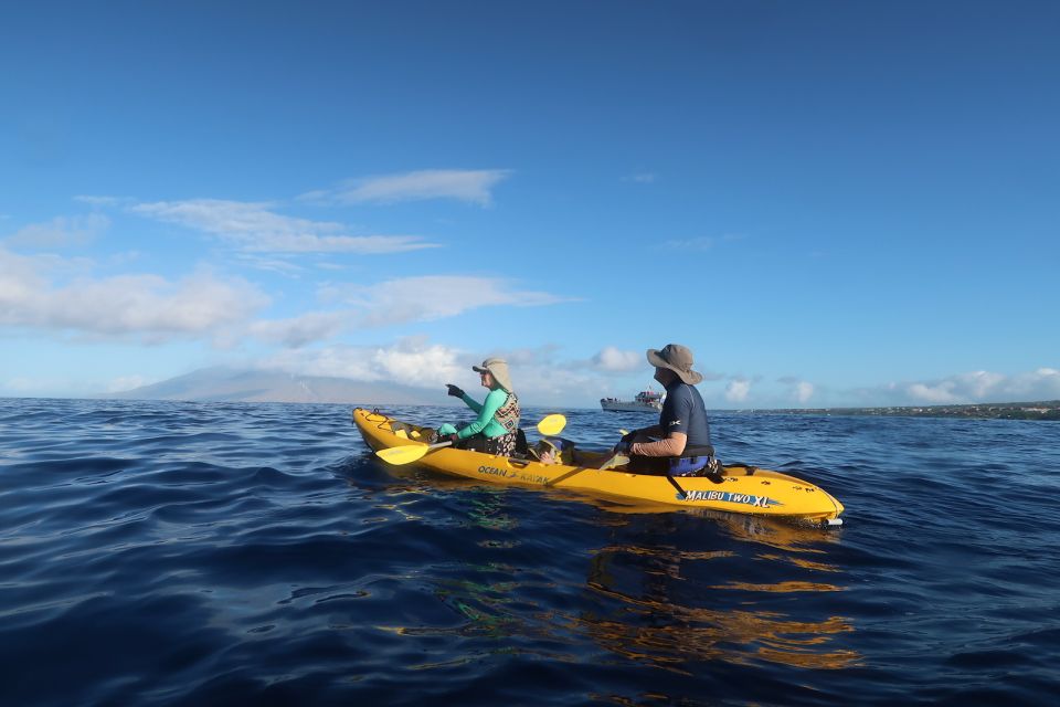 Maui: Turtle Town Kayak and Snorkel Tour - Tour Experience