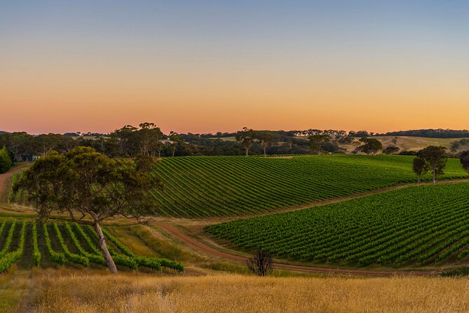 McLaren Vale & Historic Hahndorf Wine Tour - Historic Hahndorf Exploration