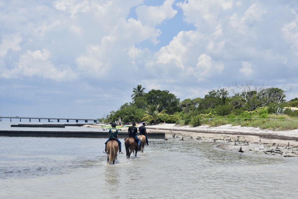 Miami: Beach Horse Ride & Nature Trail - Experience Highlights