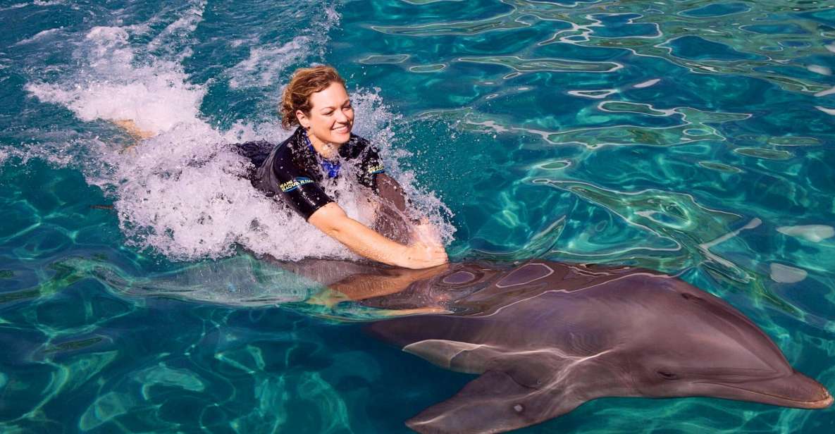 Miami: Swim With Dolphins Experience With Seaquarium Entry - Highlights