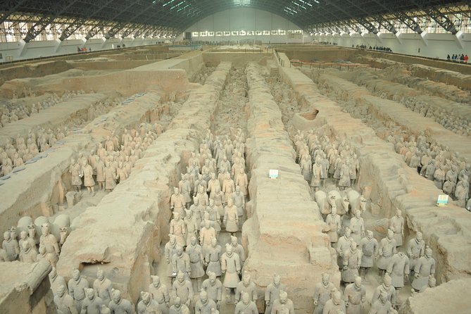 Mini Group: Daily VIP Xian Terracotta Warriors and City Discovery Tour - Customer Reviews and Assistance