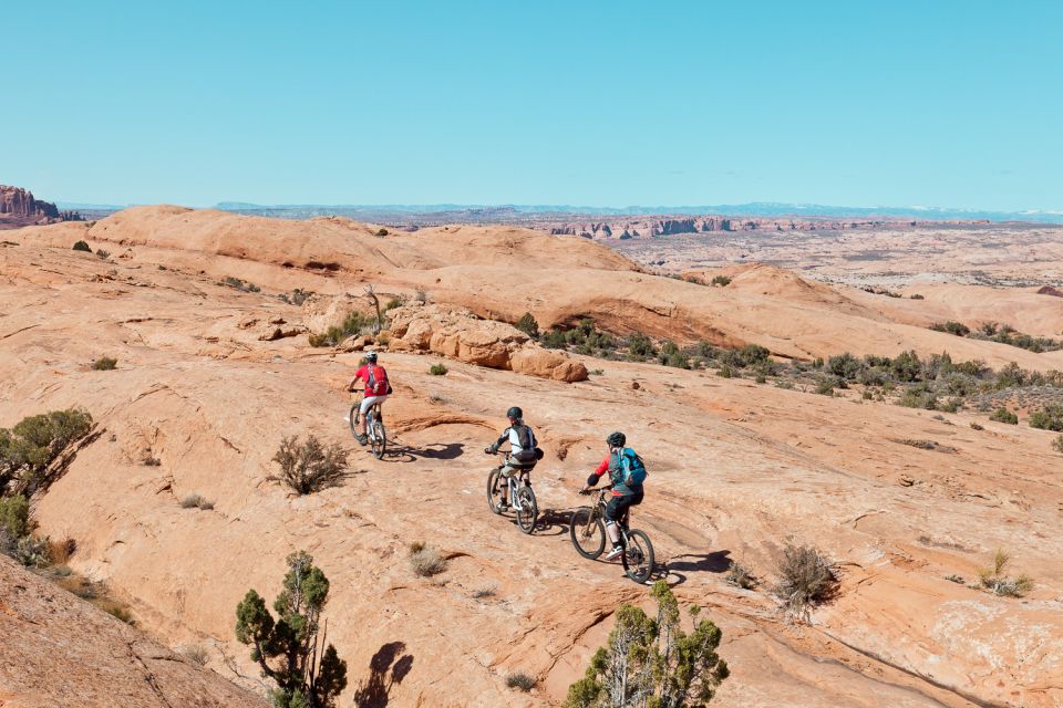 Moab: Mountain Bike Half Day Tour - Duration and Group Size