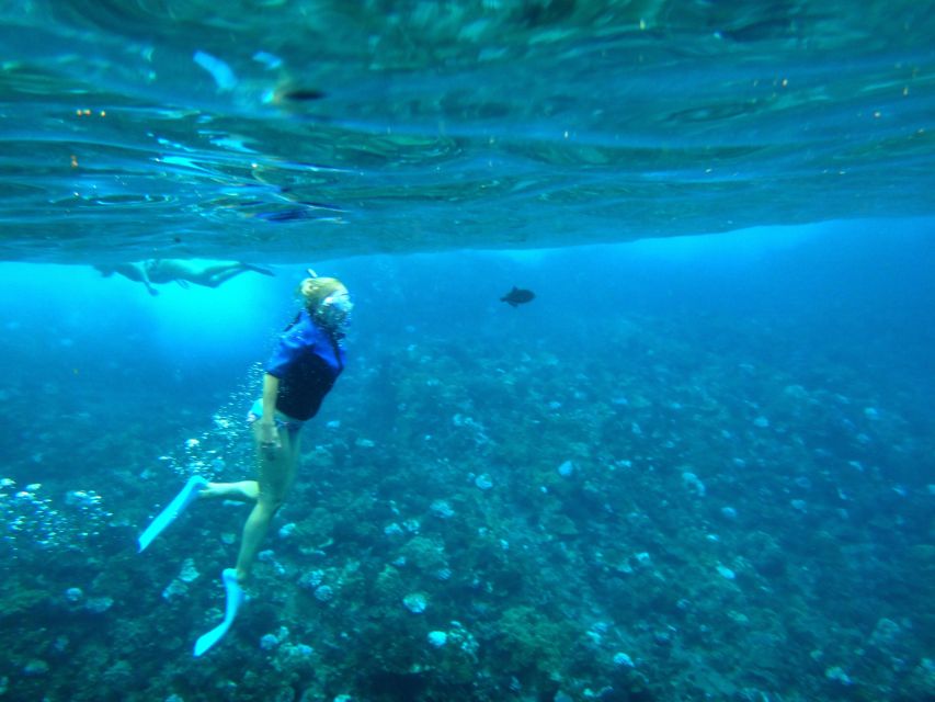 Molokini Snorkel & Slide 7AM - 12PM - Activity Details