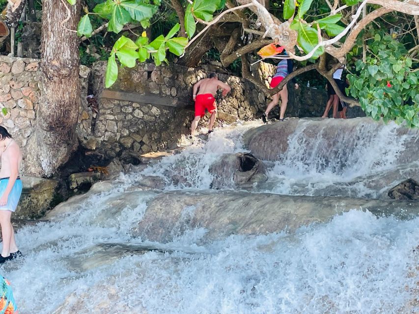 Montego Bay: Private Bob Marley and Dunns River Falls Tour - Booking Information