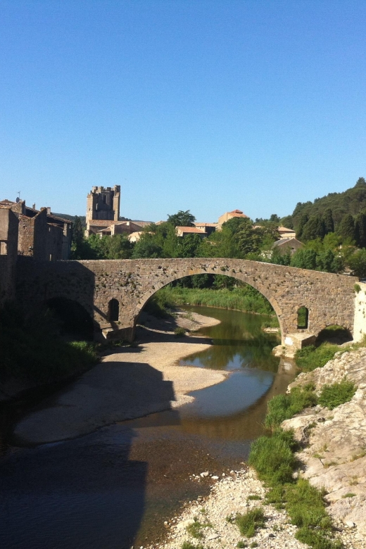 Narbonne, Gruissan & Lagrasse Village . Day Tour - Tour Highlights