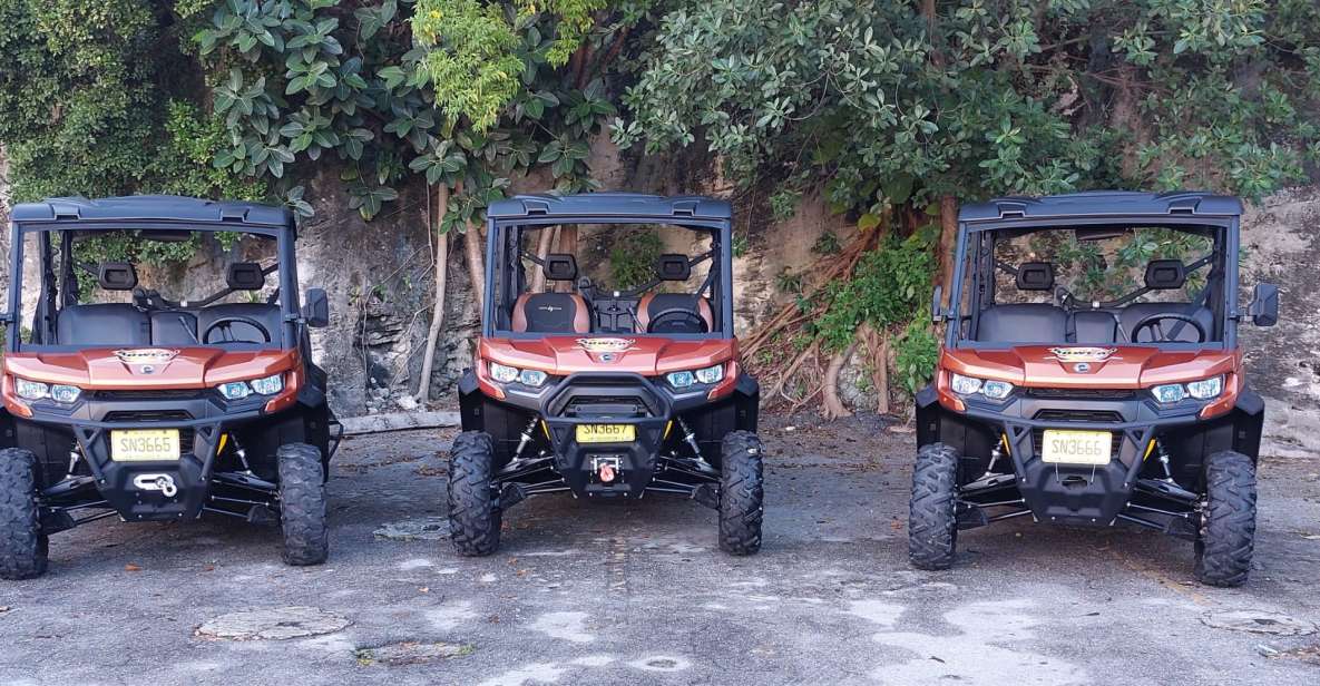 Nassau: 6-Seater Beach Buggy Rental - Pricing and Duration