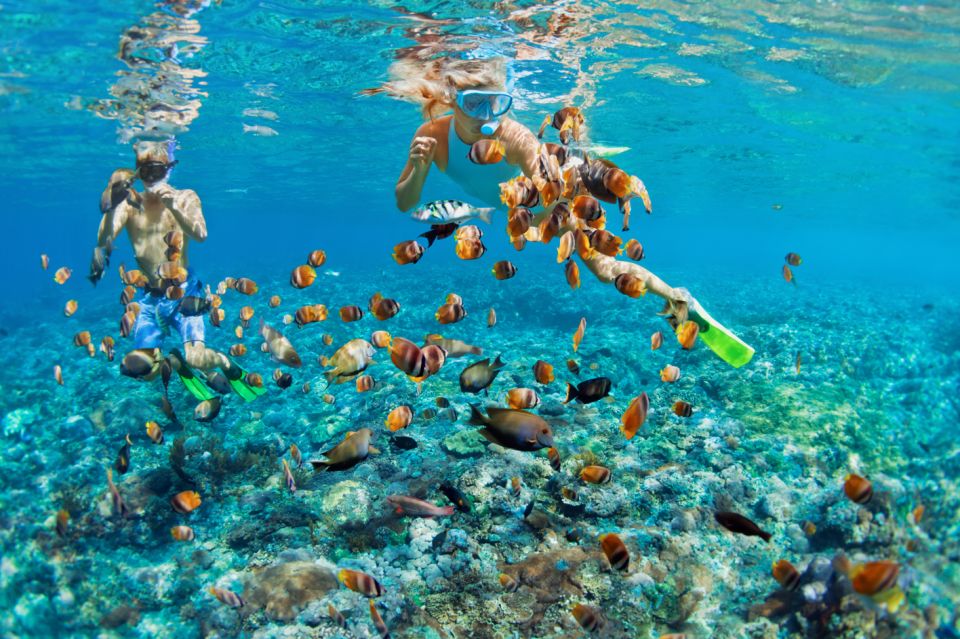 Nassau: Rose Island Boat Tour With Snorkeling - Tour Experience