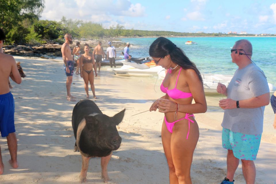 Nassau: Self-Drive Speedboat Ride and Pig Swimming Encounter - Booking Information