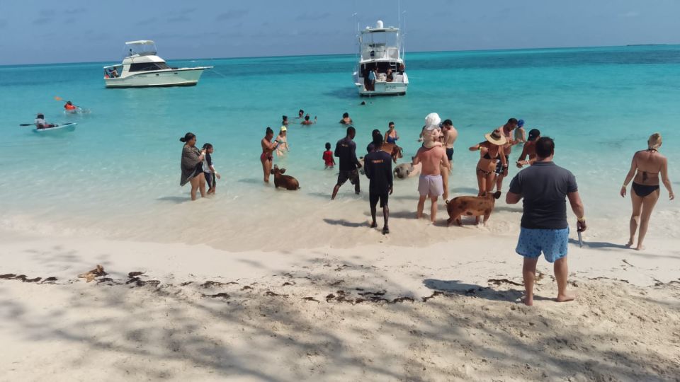 Nassau: Swimming Pigs Private Boat Tour - Up to 7 Persons - Itinerary