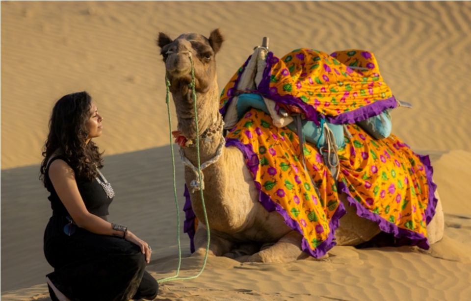 Nomadic Non-Touristic Overnight Camel & Desert Safari Tour - Itinerary Highlights