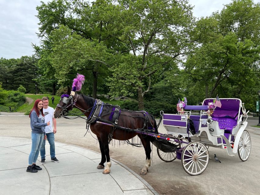 NYC: Private Central Park Horse Carriage Ride With Guide - Experience Highlights