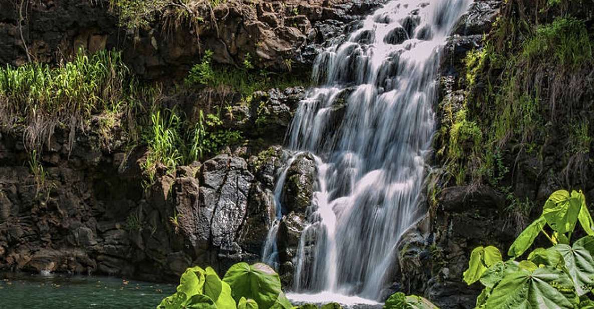 Oahu Hidden Gems & Waimea Botanical Garden/Waterfall Tour - Waimea Botanical Garden Highlights