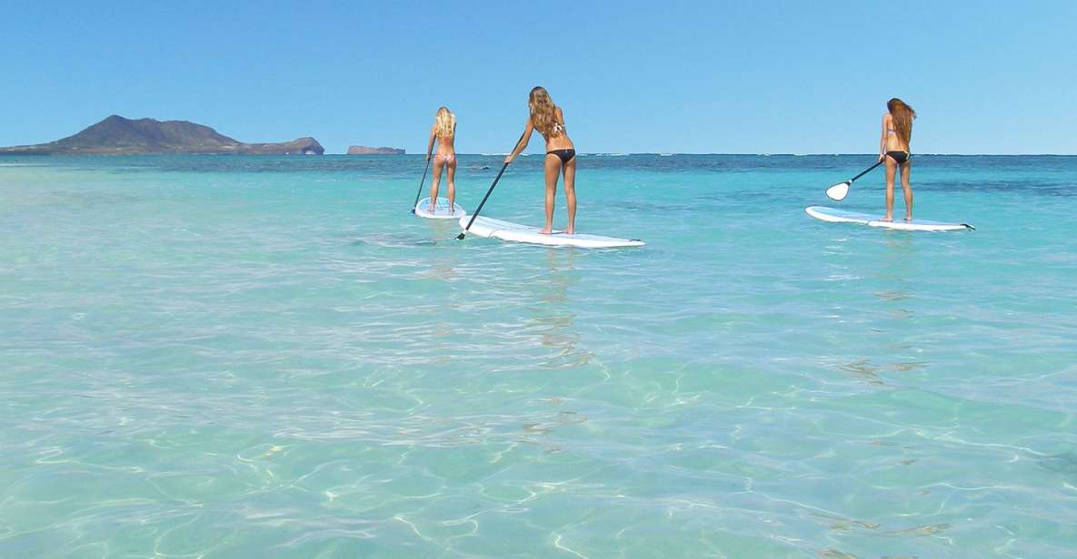 Oahu: Kailua Stand Up Paddle Board Lesson - Provider Information
