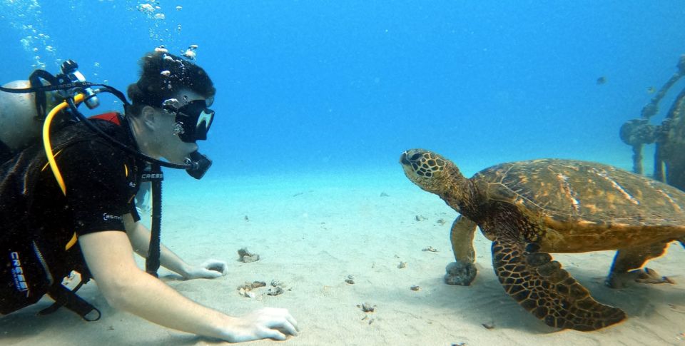 Oahu: Scuba Diving Lesson for Beginners - Activity Highlights