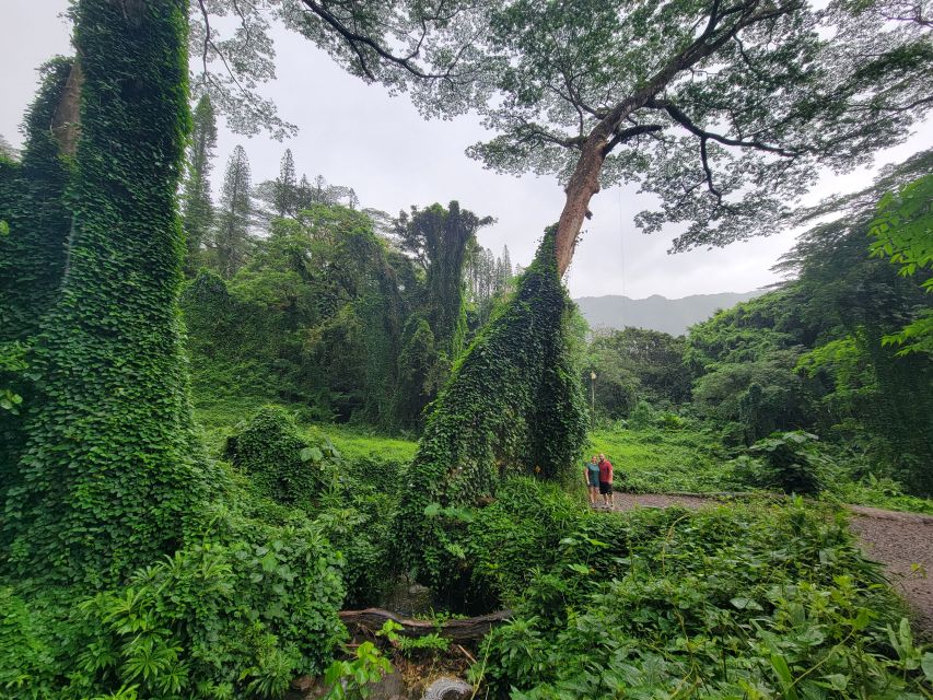 Oahu: Waikiki E-Bike Ride and Manoa Falls Hike - Additional Information