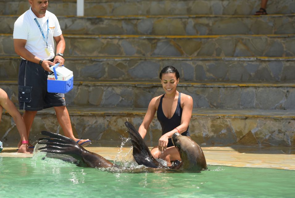 Ocean World Dolphin Swim & Sea Lion Combo From Puerto Plata - Experience Highlights