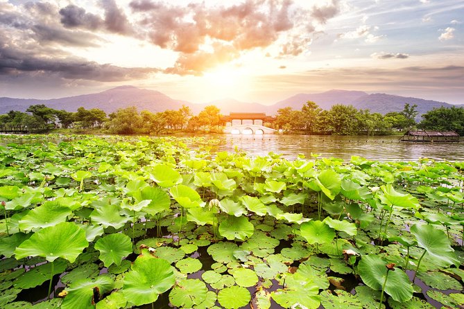 One-Day Hangzhou Dragon Well Tea Culture & West Lake Private Tour - Inclusions