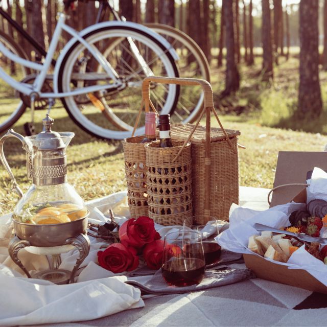 Orlando: Unveil Your Perfect Picnic Experience! - Activity Highlights and Inclusions
