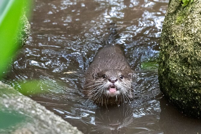 Otter Experience at Melbourne Zoo - Excl. Entry - Cancellation Policy Details