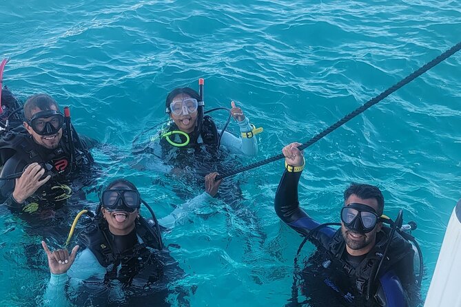 PADI Open Water Certification Course Shared Experience - Dive Experience Highlights