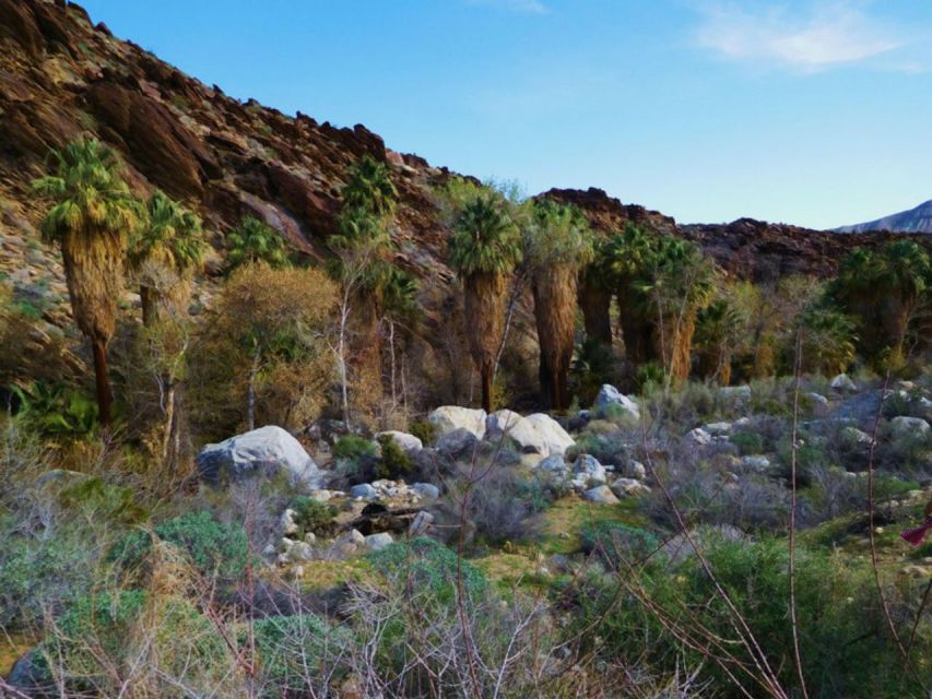 Palm Springs: Indian Canyons Hiking Tour by Jeep - Experience Highlights