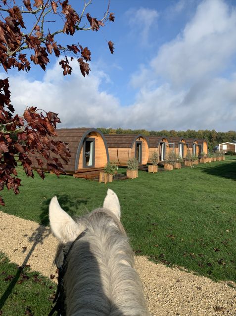 Paris : Horse Riding Camp With English Lessons in Senonches - Whats Included