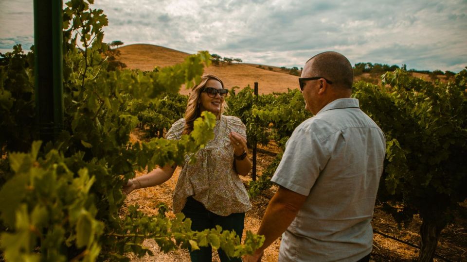 Paso Robles: Sidecar Deluxe Wine Tour With Tastings - Itinerary Highlights