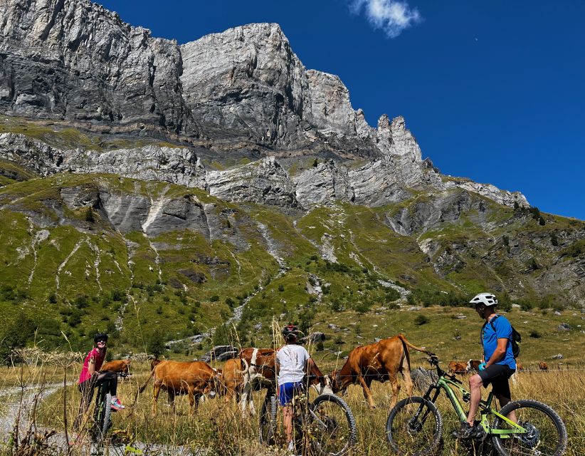 Point of View on the Glaciers of Chamonix by Ebike - Inclusions and Important Information