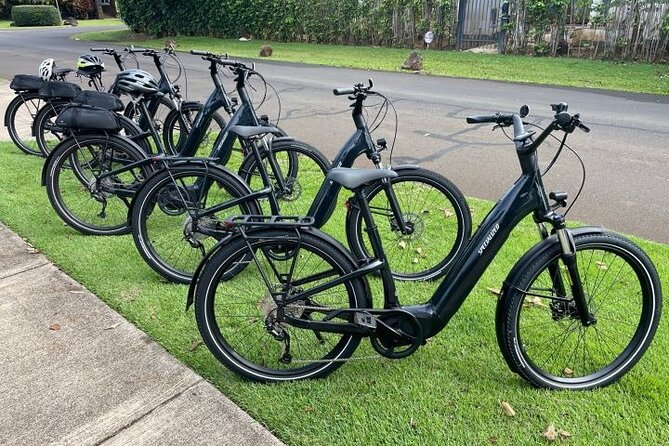 Poipu and Koloa E-Bike Scenic Tour - Reviews and Ratings