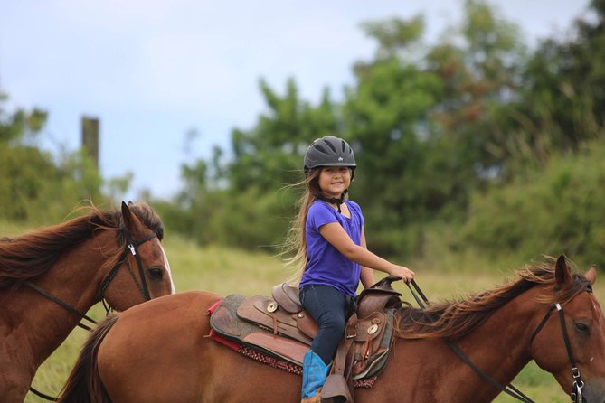 Pony Rides For Kids - Customer Experience