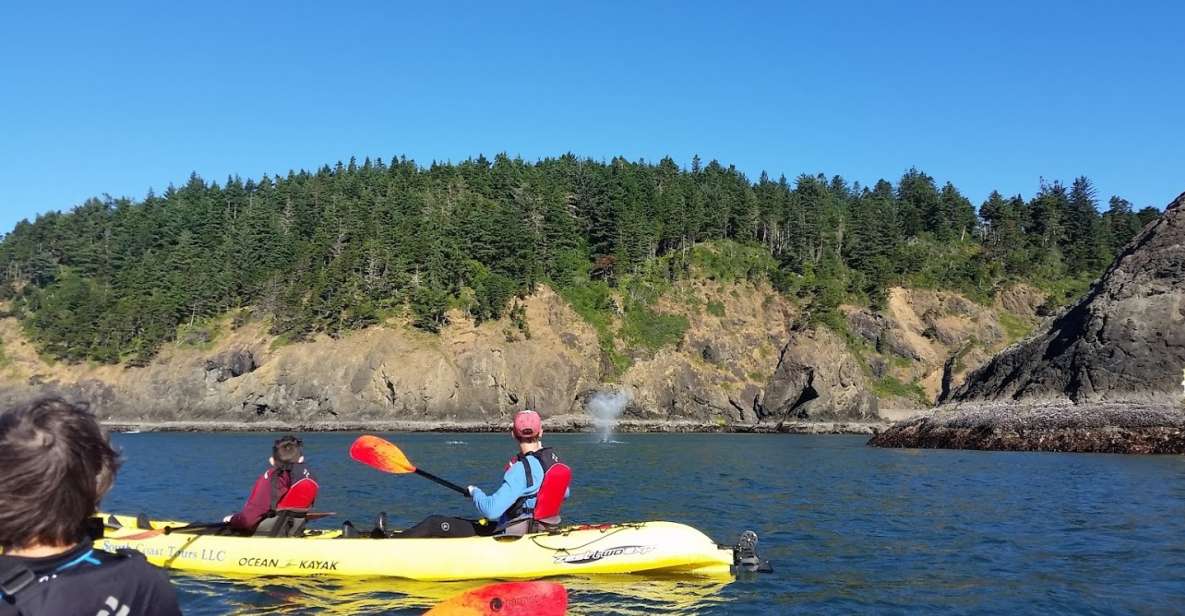 Port Orford: Kayak Tour to Orford Heads With Gear - Inclusions