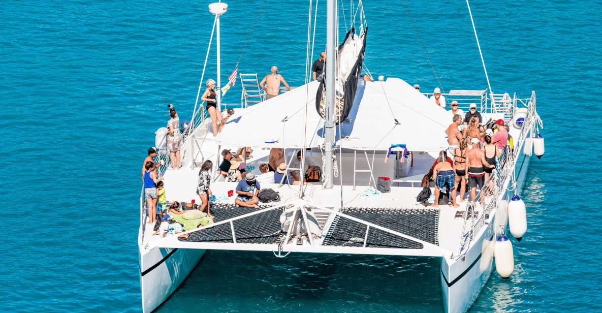 Private Catamaran Excursion to Isla Saona From Punta Cana - Experience Highlights