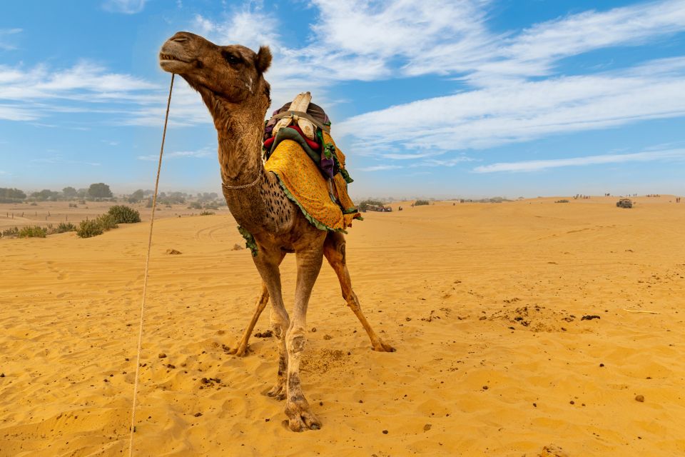 Private Full Day Jaisalmer City Tour (All-Inclusive) - Booking Information