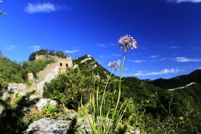Private Great Wall Hiking From Jiankou to Mutianyu - Cancellation Policy