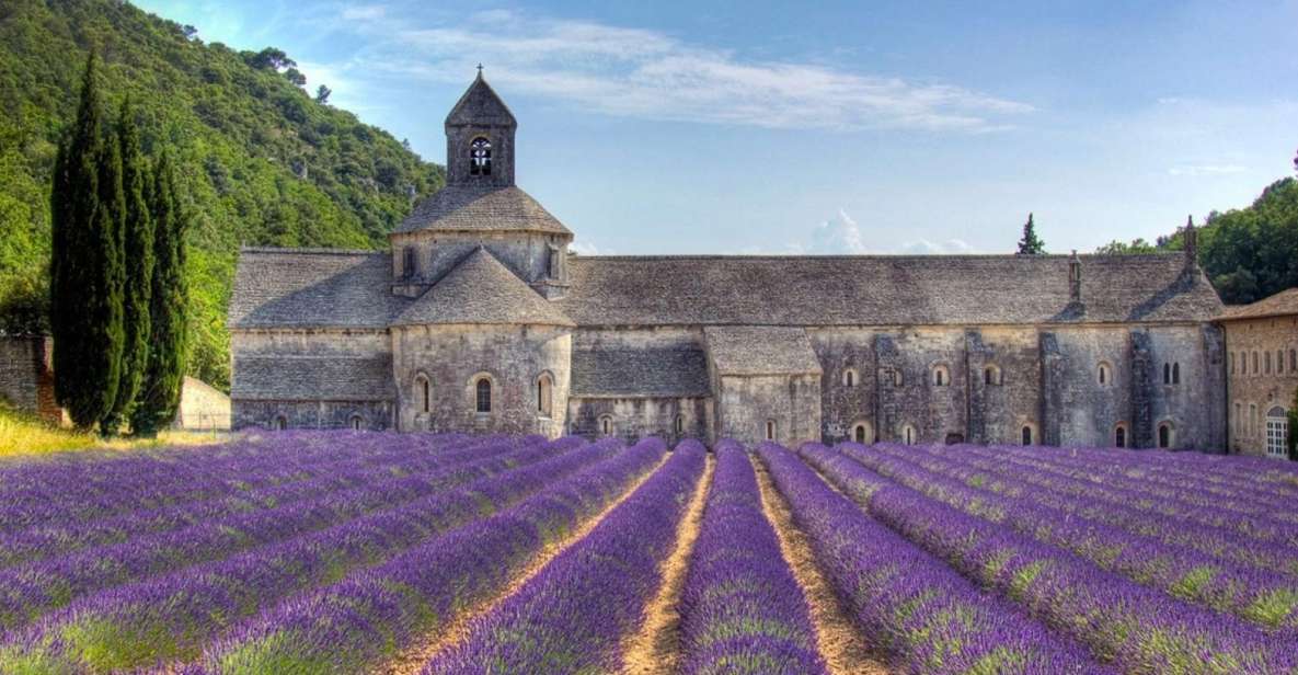 Private Lavender of Provence Tour - Tour Details