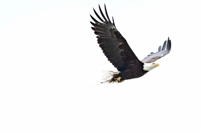 Private Photography Tour to Haines - Skagway Departure - Logistics