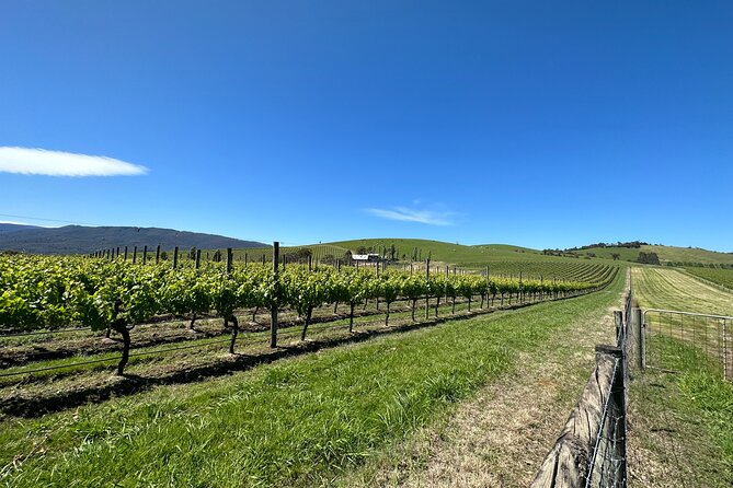 Private Tour: Yarra Valley Wine, Cheese, Bubbles & Chocolaterie - Itinerary Overview