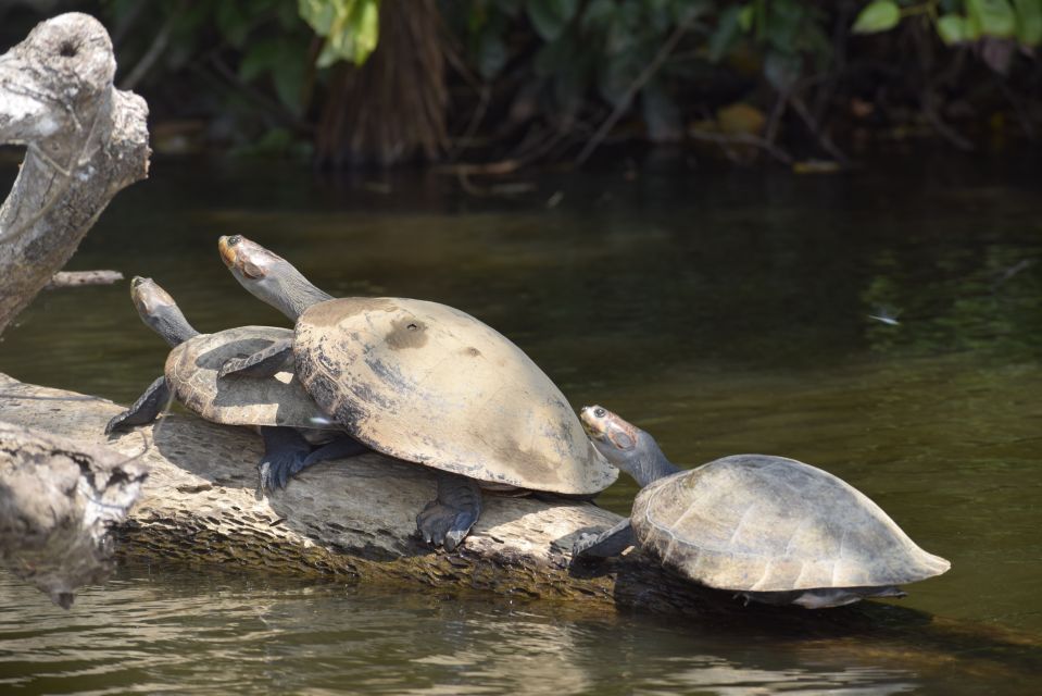 Puerto Maldonado: 4-Day Tambopata Rainforest Tour - Customer Experience