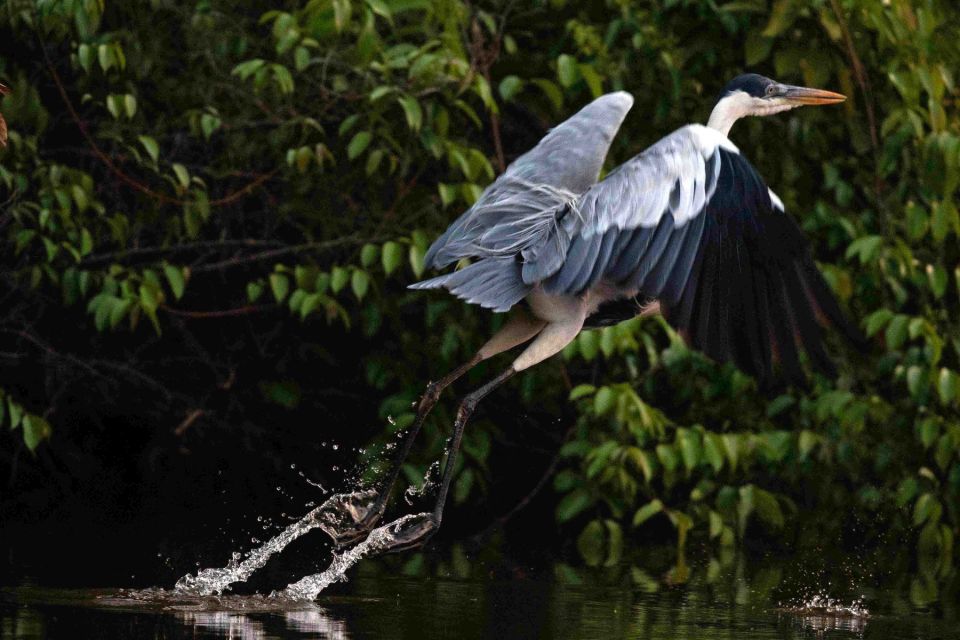 Puerto Maldonado: Adventure-Tambopata & Sandoval Lake 4D/3N - Highlights