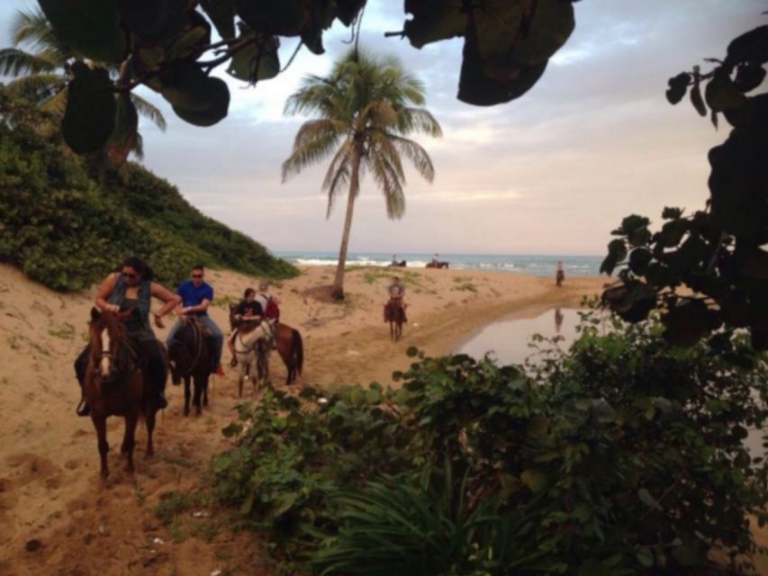 Puerto Plata: 2-Hour Horseback Ride on the Beach - Inclusions and Exclusions