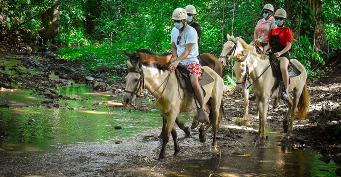 Punta Cana: 3 Tour Zip Line, Buggy and Horse Ride. - Itinerary