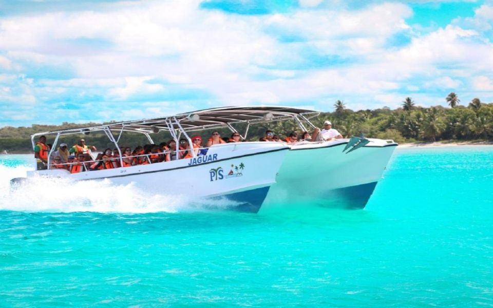 Punta Cana: Catamaran Boat to Saona Island With Buffet Lunch - Full Description