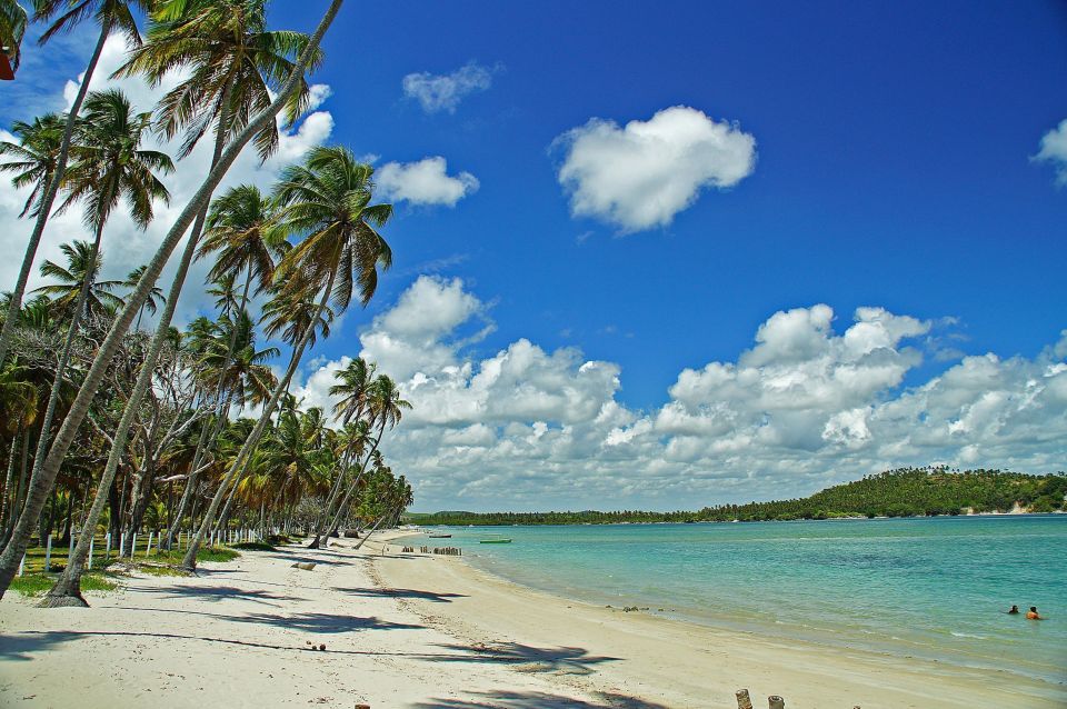 Recife: Tour to Carneiros With Catamaran Ride - Experience Highlights