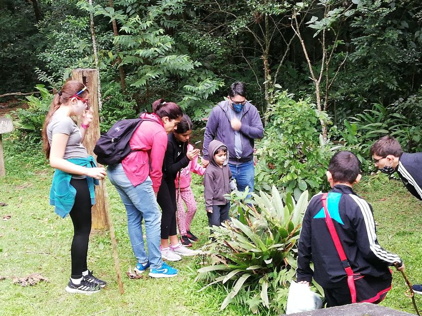 Rio De Janeiro: Tijuca Forest Waterfall of Souls Hike - Duration and Highlights